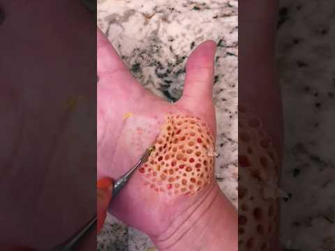 This video makes you feel trypophobia 🐝😩 #sfx #sfx_makeup #youtubeshorts #makeup #shorts