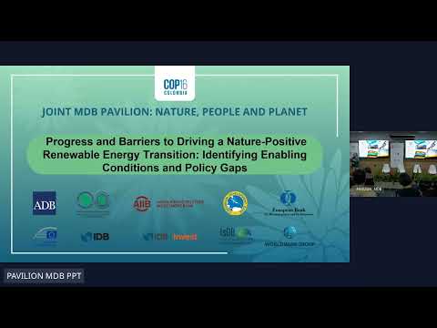 Progress and Barriers to Driving a Nature-Positive Renewable Energy Transition