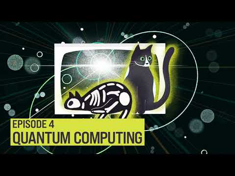 A Day in the Half-Life: Quantum Computing